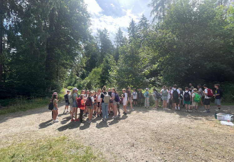 Waldspiele 2026 – ein Tag voller Abenteuer, Teamgeist und Naturerlebnisse